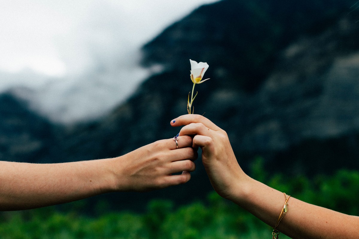 Deux mains s'échangent une fleur blanche devant un  paysage montagneux et verdoyant 